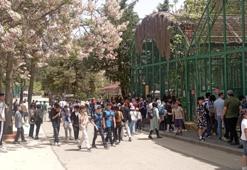 Lüks sitede taşlı sopalı kavga: 3 kişi yaralandı