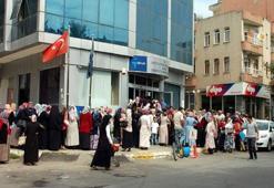 İŞKUR TPAO iş ilanı | TPAO engelli personel alımı başvuru şartları neler, nasıl başvurulur?