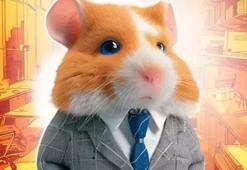 29 Haziran Hamster Kombat günlük şifre! Hamster Kombat günlük kombo şifre nedir, 29 Haziran Hamster kombat günlük kombo kartları nasıl girilir? Hamster kombat şifre 29 Haziran