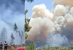 İzmir, Karaman, Bursa, Balıkesir, Çanakkale, Aydın ve Kahramanmaraş'ta orman yangını: Ekipler müdahale ediyor