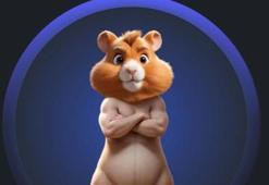 Hamster Kombat Günlük Kombo Kartları 5 TEMMUZ | 5 Milyon  hamster kombat kartlar hangileri? Hamster kombat kartlar nasıl açılır? İşte Hamster kombat kart kombosu