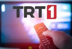 TRT 1 sinyal yok çözümü: TÜRKSAT 4A ayarı nasıl yapılır? TRT 1 frekans bilgi sorunu nasıl çözülür?