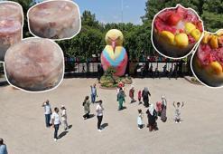 Kavurucu sıcaklarda hayvanlar unutulmadı! Buzlu kokteyl hazırlandı