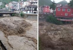 Ordu ve Muş'ta sel felaketi: 2 kişi hayatını kaybetti