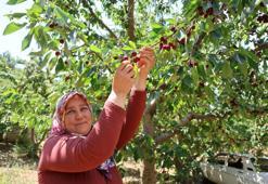 Adana'da üretiliyor, dünya markası olmaya aday! Rusya ve Avrupa ülkelerine ihraç ediliyor
