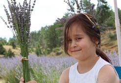 Adana'da kelebekler diyarında mavi kelebeği fotoğraflamak için yarıştılar