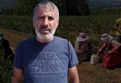 Kimse yüzüne bakmıyordu, şimdi Bilecik'te köyün geçim kaynağı oldu! Kilosu 400 TL'den satılıyor