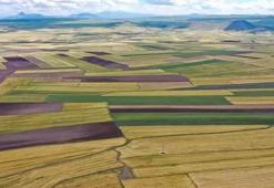 Arsa alacaklara çok önemli uyarı! Uzmanlar tek tek açıkladı