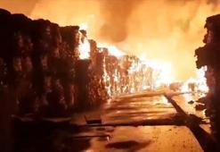 Aydın'da kağıt fabrikasında yangın yeniden kontrolden çıktı: Gecenin karanlığını alevler aydınlattı