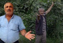 Giresun'da fındık hasadı öncesi harekete geçtiler! Yüksek yevmiyeye karşı yeni yöntem