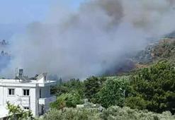 Balıkesir ve Hatay'da orman yangını! Havadan ve karada müdahale başladı