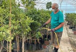 Bilinçsiz gübre, ilaç ve hormon kullanımının tarımsal ürünlerin kalitesini bozuyor