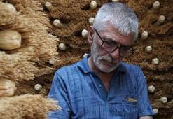 3 metrekarelik dükkandan robotlara meydan okuyor! Kadınlar 400 liradan kapış kapış alıyor