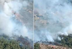 Hatay'ın Belen ilçesinde orman yangını çıktı