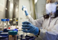 Patoloji laboratuvar teknikleri ne iş yapar? Patoloji laboratuvar teknikleri 2 yıllık taban puanları 2024 nedir?