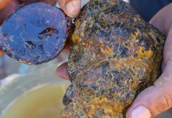 Bayburt'ta yıllarca yöre halkı tarafından çıra olarak yakıldı! Ekonomik değeri herkesi pişman etti