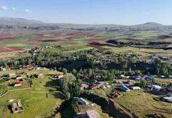 Türkiye'de iki ilin sınırı değişti! Köylülerin açtığı mera davası sonuç verdi