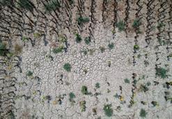 Adana'da dikkat çeken çalıştay: İklim krizi önlenemezse Doğu Akdeniz çölleşecek