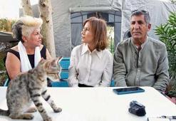 Seyhan Belediyesi sokak hayvanlarının bakımı için arazi arayışında