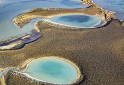 Adana'da bir doğa harikası: Yumurtalık Lagünü