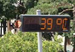 Adana kavruluyor! Uzman isim uyardı: Aşırı sıcaklar sinirlendiriyor