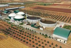 Gaziantep'te ödüllü çevre dostu yeşil projenin etkileri sürüyor