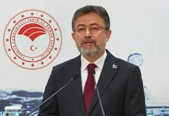 Tarım ve Orman Bakanı Yumaklı: Sokak hayvanlarının sokaktan çekilip rehabilite edilecek ötenazi mümkün değil