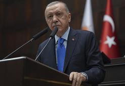 Erdoğan'dan başıboş köpek düzenlemesi mesajı: Millet sorun çözülsün istiyor, Meclis tatile girmeden yasalaşacak