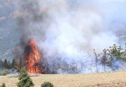 Silivri’de anız yangın! D-100 Karayolu Edirne istikameti trafiğe kapatıldı