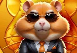 Hamster kombat günlük şifre kombo kartları 30 Temmuz! Hamster kombat günlük kombo 30 Temmuz kartları neler, hamster günlük şifre nasıl girilir?