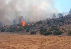 Gaziantep’te çıkan yangında 30 dönüm ormanlık alan zarar gördü