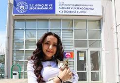 Mersin ‘Öğrenci Dostu Üniversite Şehirleri’ listesinde ilk sırayı bir puanla kaçırdı