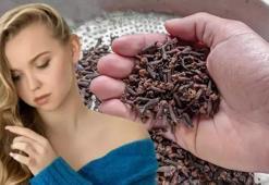 Sönük ve uzamayan saçları kurtaran kür! Bir tutam atıp kaynatın: Saçların uzamasında sütten daha etkili!