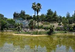 Adana'da göç yolu üzerinde bulunan Kuş cenneti sessizliğe büründü: 'Adana'ya ayrı bir renk katıyordu'