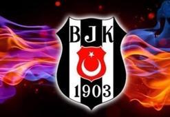 Hasan Arat, Beşiktaş'ın yeni transferini açıkladı