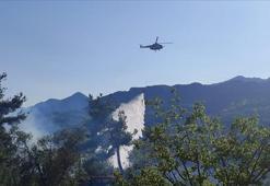 Adana'da orman yangınına müdahale eden helikopter düştü
