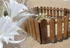 Bursa'da kum zambakları açtı! Koparmanın cezası 387 bin lira