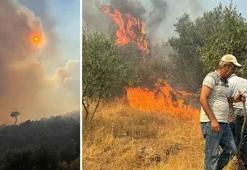 Aydın'da orman yangını! Ekipler müdahale ediyor