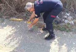 Kozan'da itfaiye ekipleri evde yakaladıkları karayılanı doğaya bıraktı