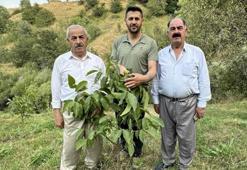 İran sınırını ‘Yeşil Vadi’ye çevirdi! 20 yıl boyunca emek verdi karşılığını aldı