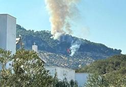 Çanakkale'nin Ayvacık ilçesinde orman yangını çıktı