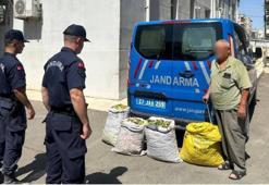 Gaziantep'te yeşil altın hırsızlarına operasyon