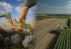 Adana'da tarımda dev proje: DSİ su verimliliğine karşı arazi geliştirme projesini hayata geçiriyor: Yüzde 100 verimlilik hedefleniyor