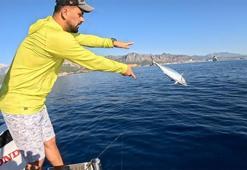 Oltasına takılan balığı önce öptü sonra denize bıraktı! Duygusal balıkçının zor anları...