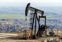 Türkiye'de ham petrol ve doğal gaz çıkarımında tarihi rekor! Kritik rapor açıklandı