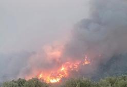 Ciğerlerimiz yanıyor! Yurdun dört bir yanı alevlere teslim oldu, işte orman yangınlarında son durum