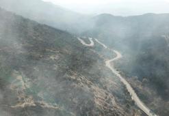 Bakan Yumaklı: İzmir Karşıyaka-Urla ve Bolu'daki yangınlar söndürüldü