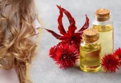 Hindistan'ın en meşhur yağı saç ve sakal çıkartıyor! Berberlerde bir tek bu var: Bakımın şifresini verdiler!