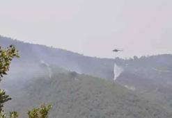 Manisa ve Uşak'ta orman yangını: Yerleşim yerleri boşaltıldı, ekipler müdahale ediyor