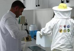 Ardahan'da hobi olarak başladı paraya para demiyor! Kilo fiyatı dudak uçuklatıyor